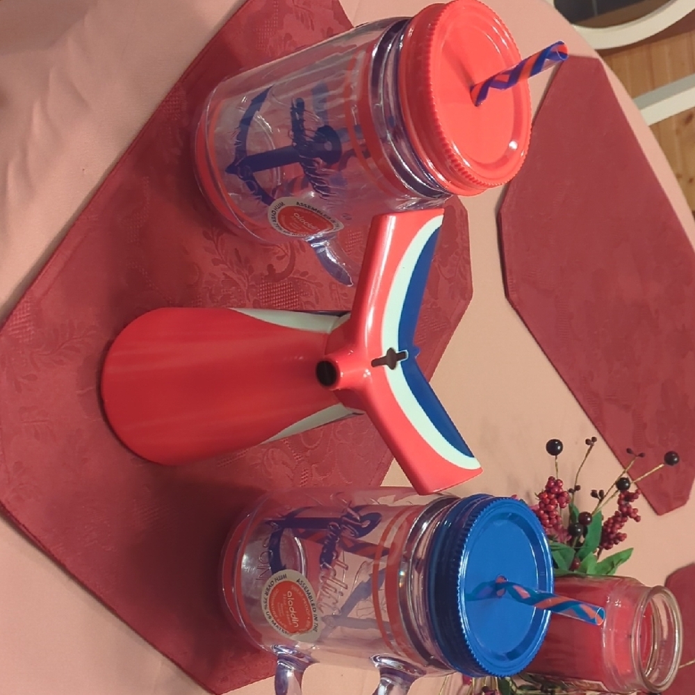 Nautical Themed Mason Jar Set with Straws